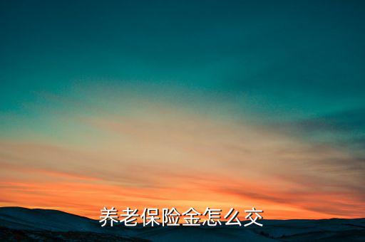 養(yǎng)老保險金怎么交