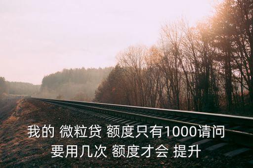 我的 微粒貸 額度只有1000請問要用幾次 額度才會 提升