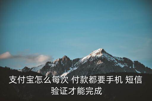 支付寶怎么每次 付款都要手機(jī) 短信 驗(yàn)證才能完成