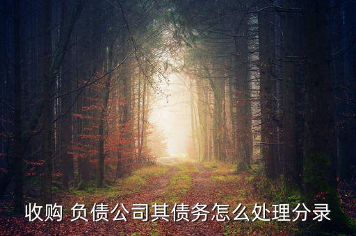 收購 負(fù)債公司其債務(wù)怎么處理分錄