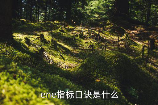  ene指標(biāo)口訣是什么