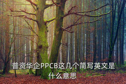  普資華企PPCB這幾個簡寫英文是什么意思