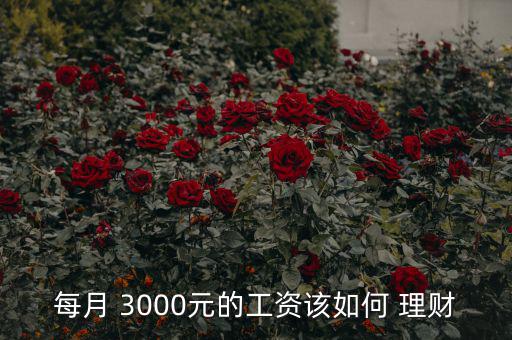 3000塊錢怎么理財(cái),投資者每月定投300元開放式基金