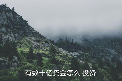 有數(shù)十億資金怎么 投資