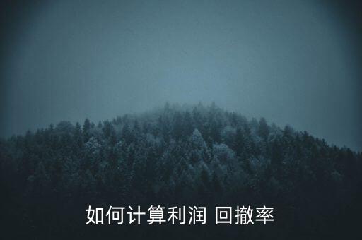 如何計(jì)算利潤 回撤率