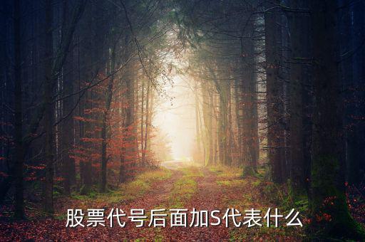 股票加上s是怎么回事,進入s板證券包括所有股票未完成股改的