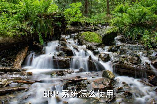 ERP 系統(tǒng)怎么使用