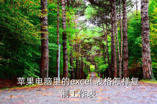 蘋果電腦里的excel 表格怎樣復(fù)制工作表