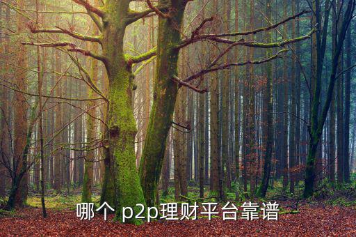 哪個(gè) p2p理財(cái)平臺靠譜