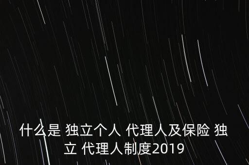 什么是 獨立個人 代理人及保險 獨立 代理人制度2019