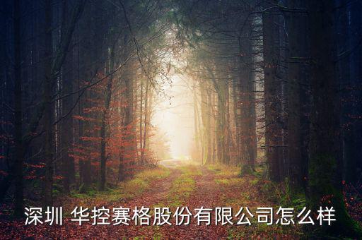 深圳 華控賽格股份有限公司怎么樣