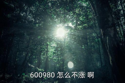 600980 怎么不漲 啊