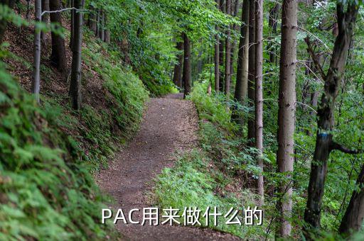 PAC用來做什么的