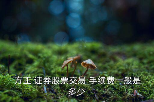  方正 證券股票交易 手續(xù)費(fèi)一般是多少