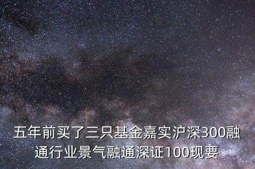 五年前買了三只基金嘉實滬深300融通行業(yè)景氣融通深證100現(xiàn)要