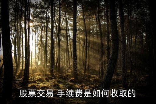 股票交易 手續(xù)費(fèi)是如何收取的