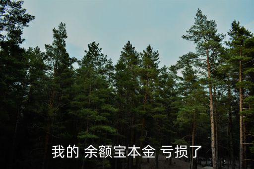 余額寶虧損了怎么辦,理財(cái)在線｜羅清全】余額寶是什么鬼?