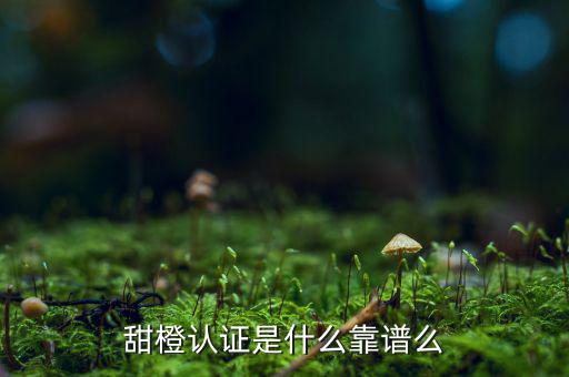 甜橙金融公司是什么，便捷的網(wǎng)貸理財(cái)企業(yè)是什么