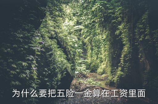 為什么要把五險(xiǎn)一金算在工資里面