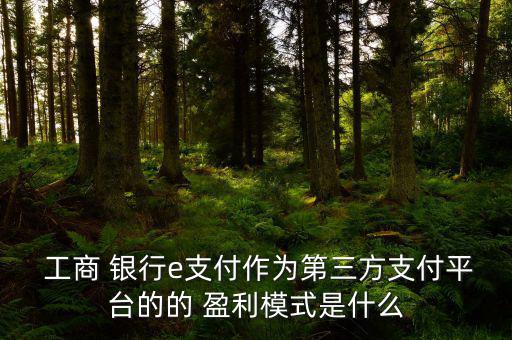  工商 銀行e支付作為第三方支付平臺的的 盈利模式是什么