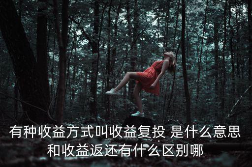 按月復(fù)投是什么意思，本息復(fù)投是什么意思