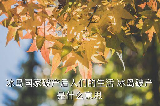 冰島國(guó)家破產(chǎn)后人們的生活 冰島破產(chǎn)是什么意思