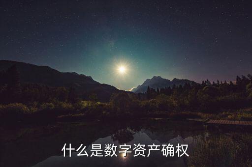 什么是數(shù)字資產(chǎn)確權(quán)