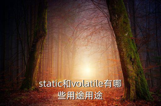 vtm有什么用，static和volatile有哪些用途用途