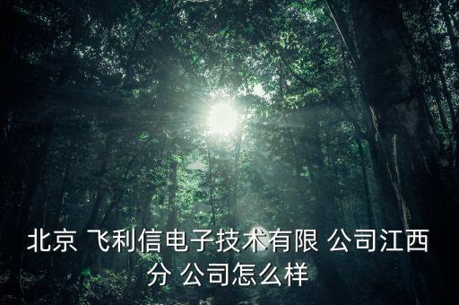 飛利信公司怎么樣,飛利信電子科技有限公司江西分公司正營業(yè)中