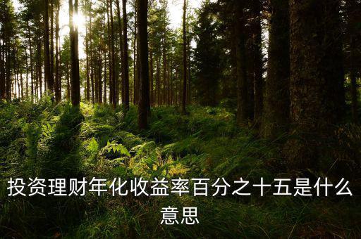 投資理財(cái)年化收益率百分之十五是什么意思