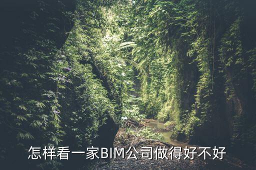 怎樣看一家BIM公司做得好不好