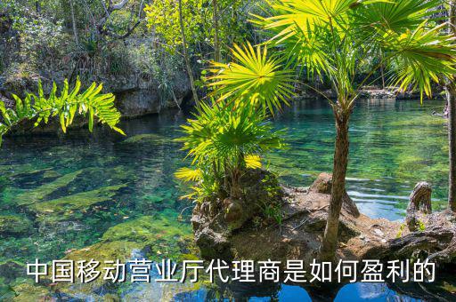 中國移動怎么賺錢,國企開移動營業(yè)廳需要滿足哪四點(diǎn)?