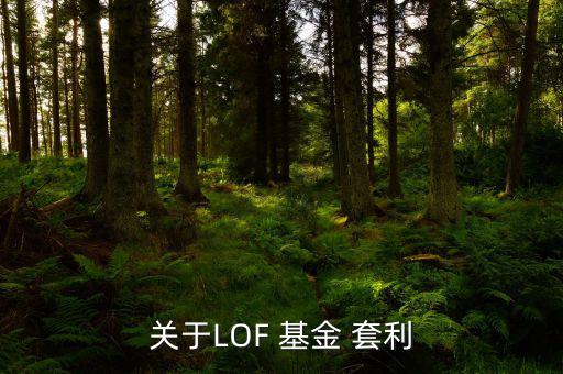 關于LOF 基金 套利