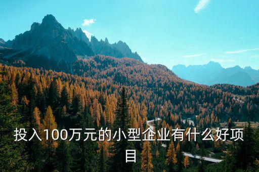 什么企業(yè)愛投資項目，投入100萬元的小型企業(yè)有什么好項目