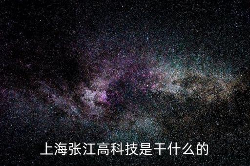 上海張江高科技是干什么的