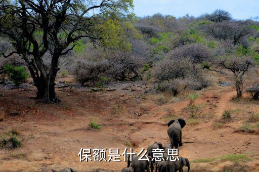 保額是什么意思