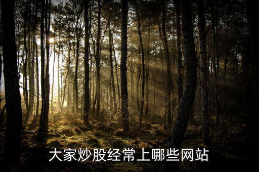 大家炒股經(jīng)常上哪些網(wǎng)站