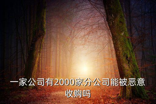 初靈信息為什么要并購，一家公司有2000家分公司能被惡意收購嗎