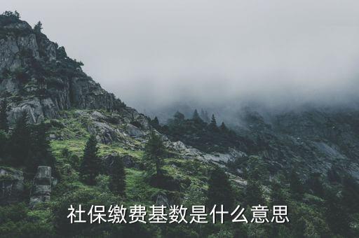 社保繳費(fèi)基數(shù)是什么意思