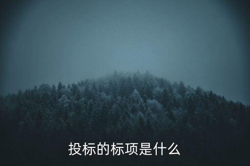 投標的標項是什么