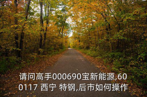 請問高手000690寶新能源,600117 西寧 特鋼,后市如何操作