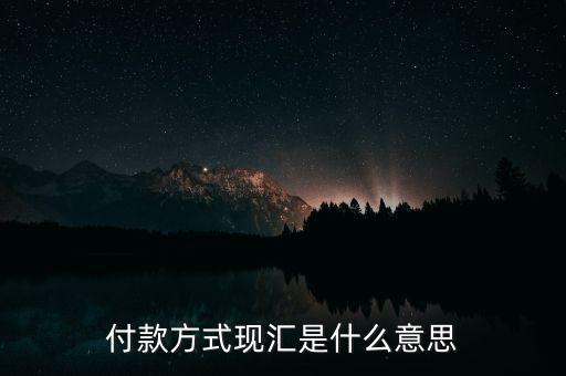 現(xiàn)匯金額是什么意思，招行自動還款中現(xiàn)匯是什么意思