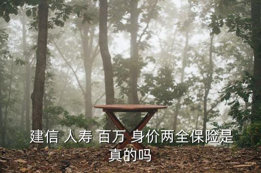  建信 人壽 百萬 身價(jià)兩全保險(xiǎn)是真的嗎