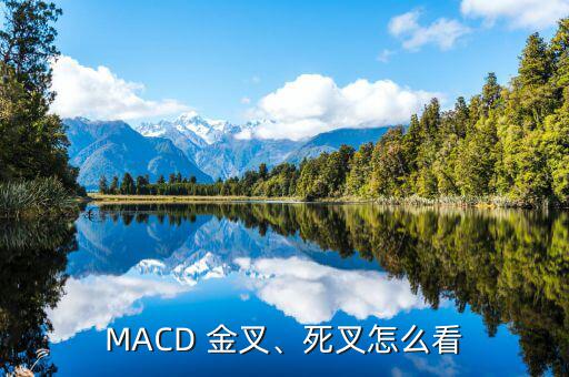 MACD 金叉、死叉怎么看