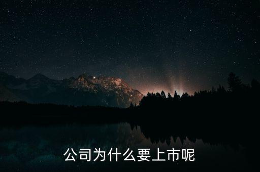 公司為什么上市，公司為什么要上市呢