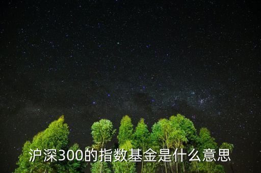 滬深300的指數(shù)基金是什么意思