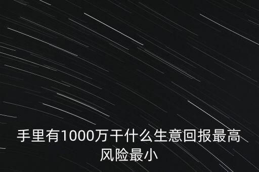 1000萬投資什么生意，手里有1000萬干什么生意回報最高風險最小