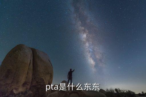 pta行業(yè)是什么，pta是什么東東