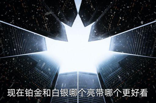 什么白銀最亮，哪種銀子最好