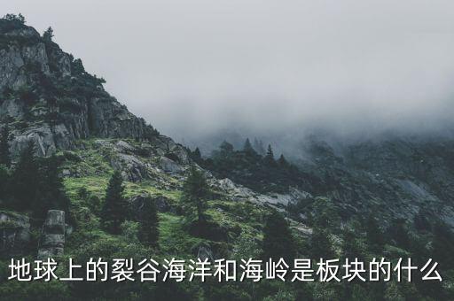 誠(chéng)益通屬于什么板塊，地球上的裂谷海洋和海嶺是板塊的什么